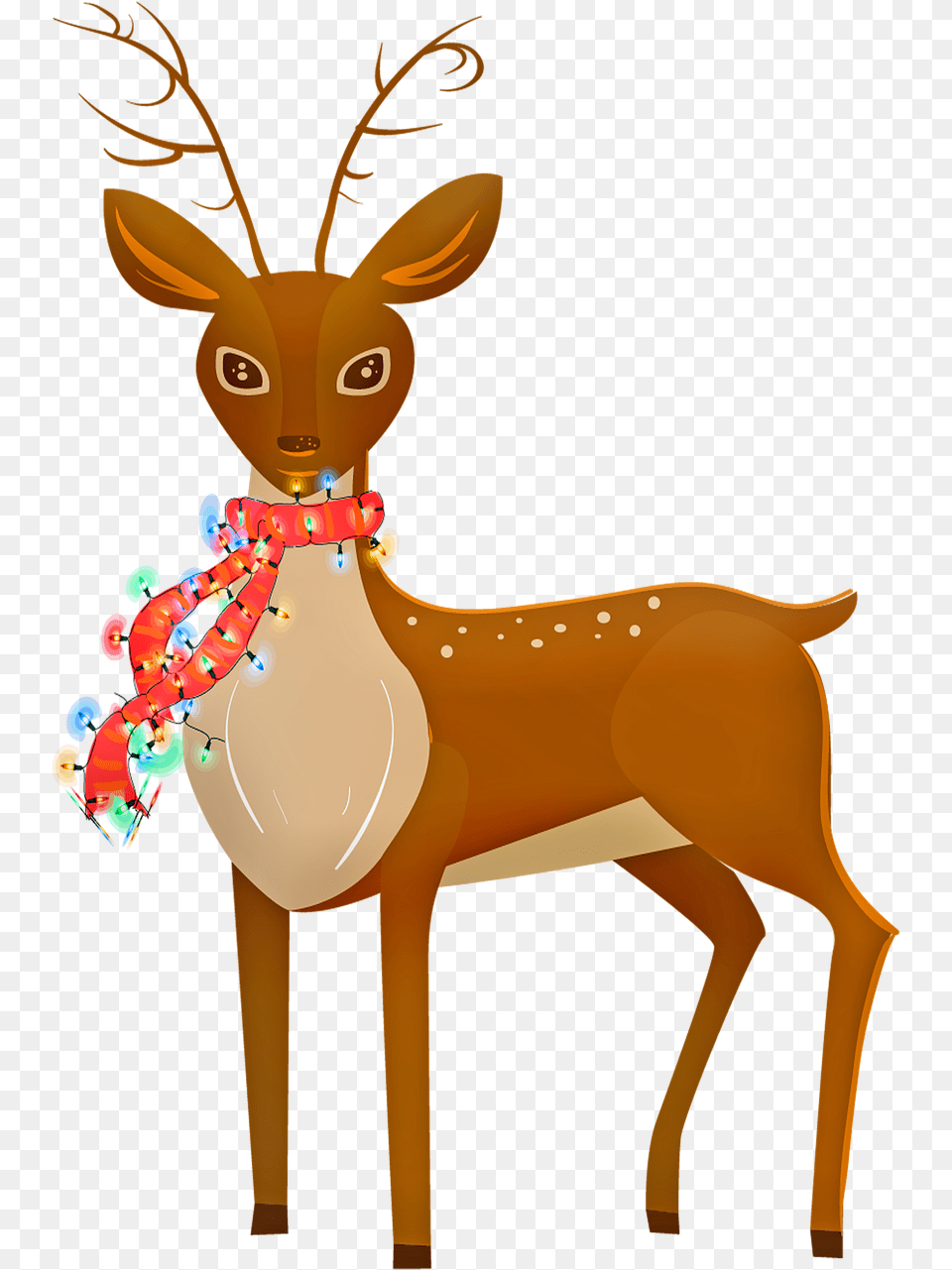 Reindeer Animal Christmas Lights On Pixabay, Deer, Mammal, Wildlife, Person Free Transparent Png