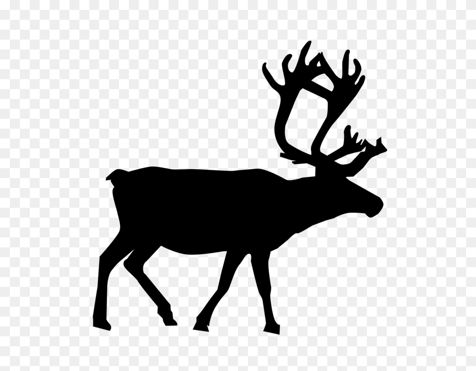 Reindeer Animal Silhouettes Drawing, Gray Free Png Download