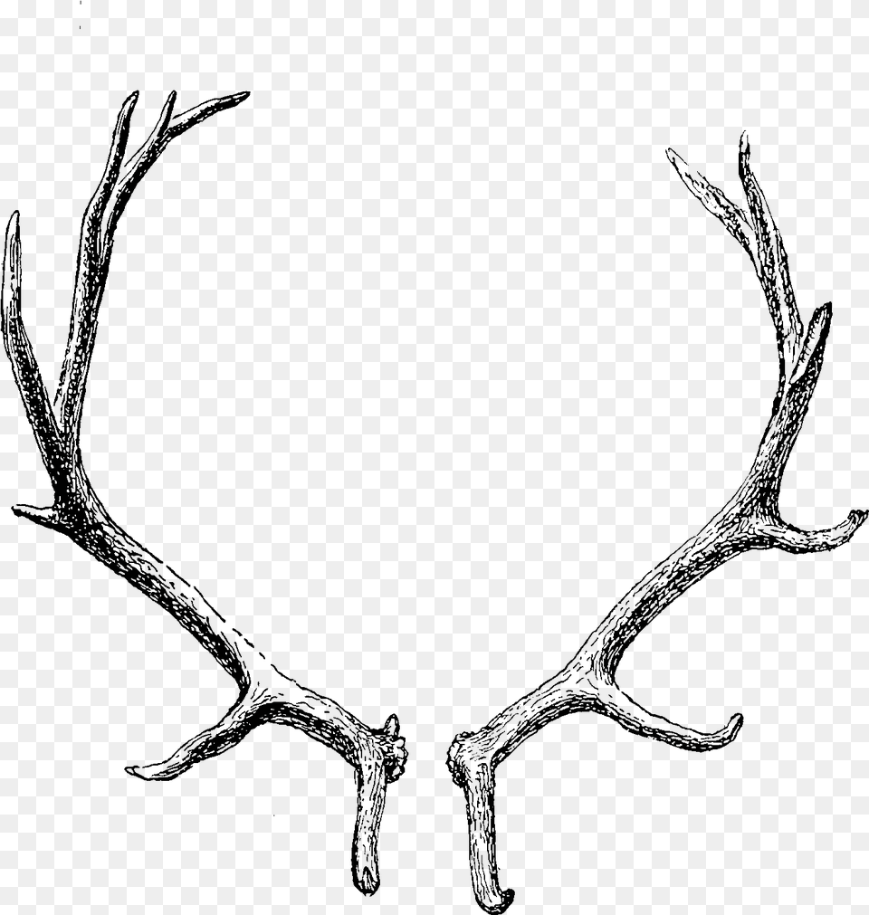 Reindeer Antler Horn Clip Art Antler, Lighting, Racket Png Image