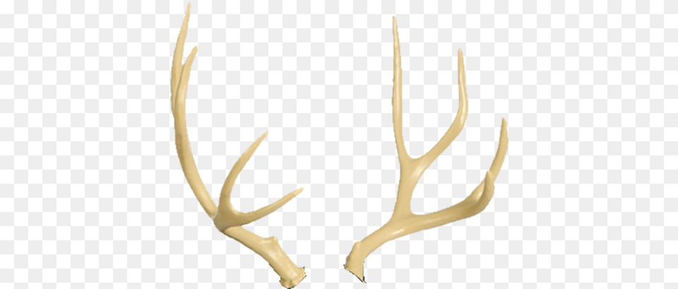 Reindeer Antler Moose Horn Deer Antlers Transparent Background, Smoke Pipe Png