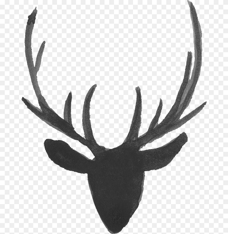 Reindeer Antler Moose Portable Network Graphics Deer Silhouette Head Background, Plant Free Png Download