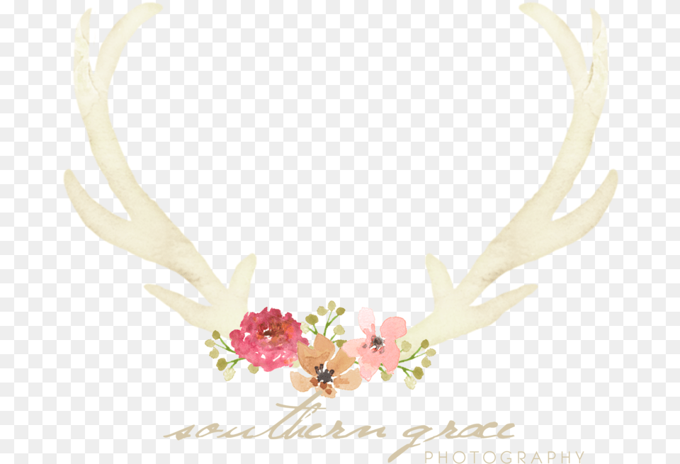 Reindeer Antlers Headband Elk, Antler, Accessories, Wedding, Plant Free Png Download