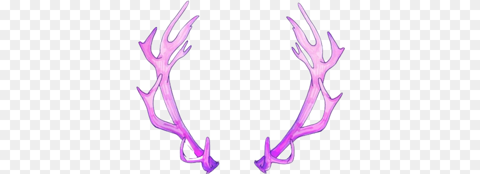 Reindeer Antlers Tumblr Transparent Overlays, Antler Png