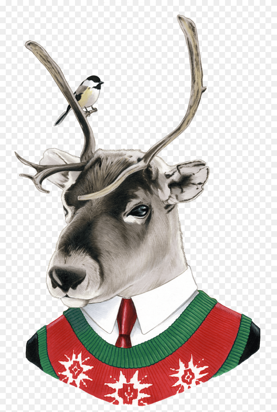 Reindeer By Berkley Illustration From Tattly Temporary Tattoos Clip Art, Wildlife, Animal, Mammal, Deer Png