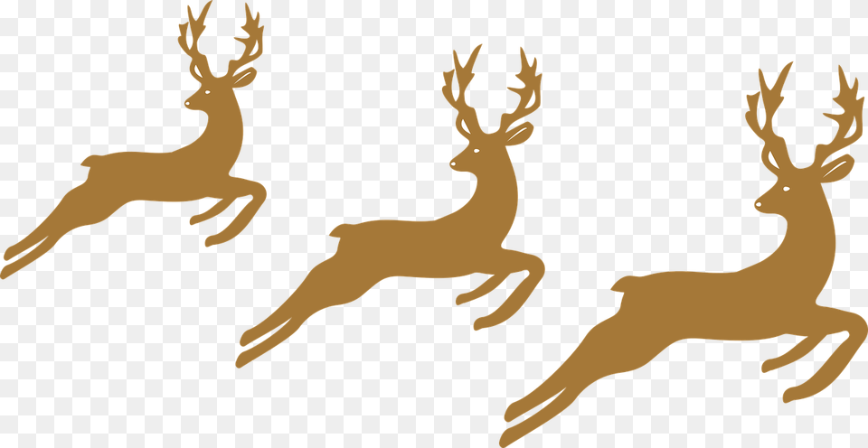 Reindeer Christmas Horns Picture Rennes De Noel, Animal, Deer, Mammal, Wildlife Free Png Download