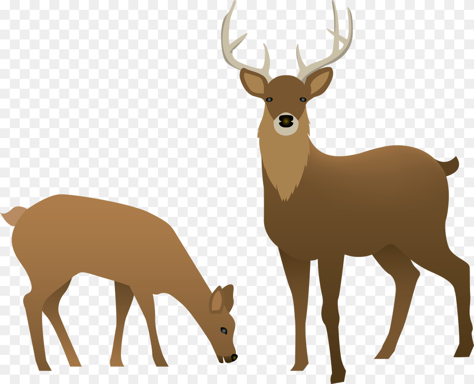 Reindeer Clip Art, Animal, Deer, Elk, Mammal Free Transparent Png