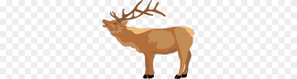 Reindeer Clip Art, Animal, Deer, Elk, Mammal Png Image