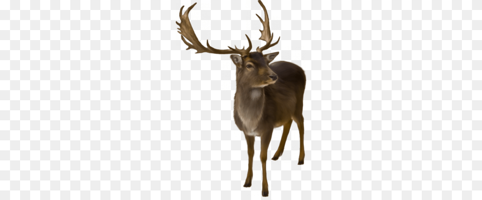 Reindeer Clip Art Clipart, Animal, Deer, Mammal, Wildlife Free Transparent Png