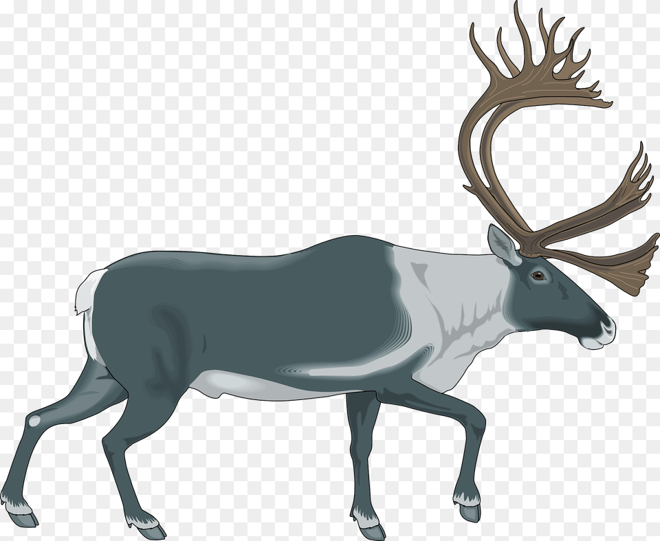 Reindeer Clipart, Animal, Deer, Mammal, Wildlife Png Image