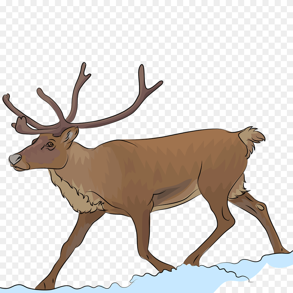 Reindeer Clipart, Animal, Deer, Elk, Mammal Free Transparent Png