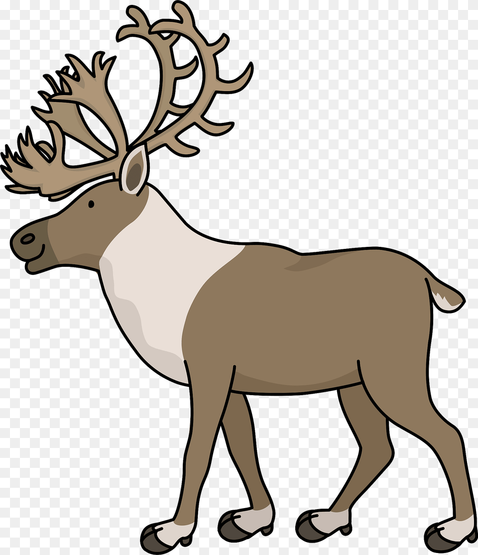 Reindeer Clipart, Animal, Deer, Elk, Mammal Png Image