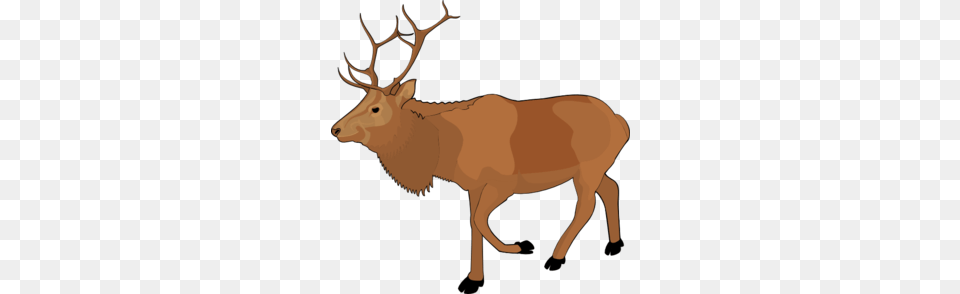 Reindeer Clipart, Animal, Deer, Elk, Mammal Free Png Download