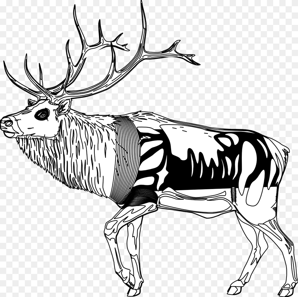 Reindeer Clipart Black And White Reindeer Cartoon Black And White, Animal, Deer, Elk, Mammal Png