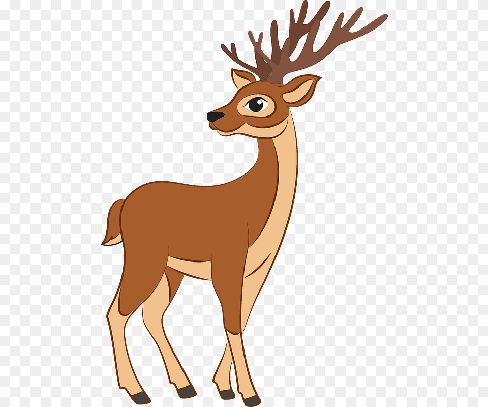 Reindeer Clipart Reindeer, Animal, Deer, Mammal, Wildlife Png Image