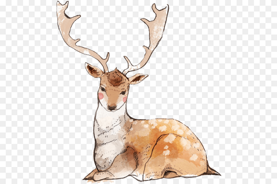 Reindeer Deer Painting Elk Wildlife For Christmas 1890x2024 Caribou, Animal, Mammal, Antelope Free Png Download
