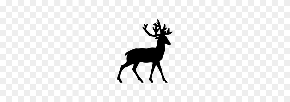 Reindeer Drawing Moose Antler, Gray Free Png Download