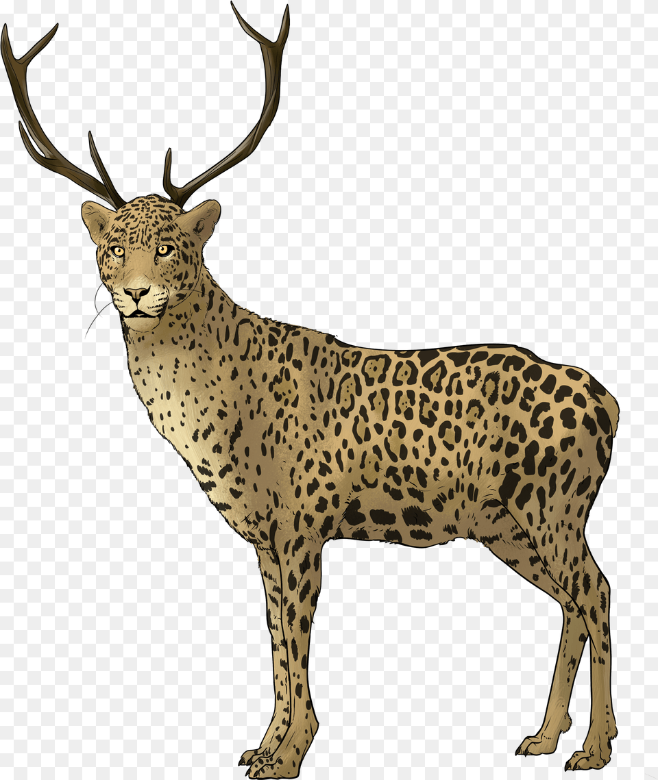 Reindeer Image Antler, Animal, Deer, Mammal, Wildlife Free Png Download