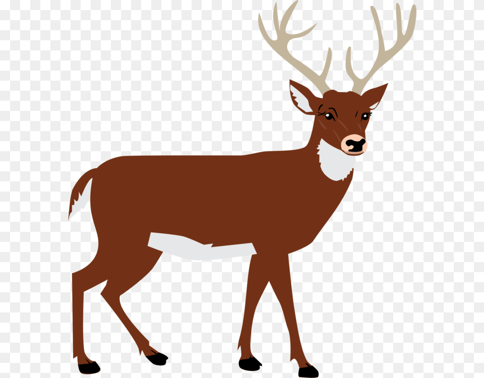 Reindeer Moose Encapsulated Postscript Animal, Deer, Mammal, Wildlife, Elk Free Png Download