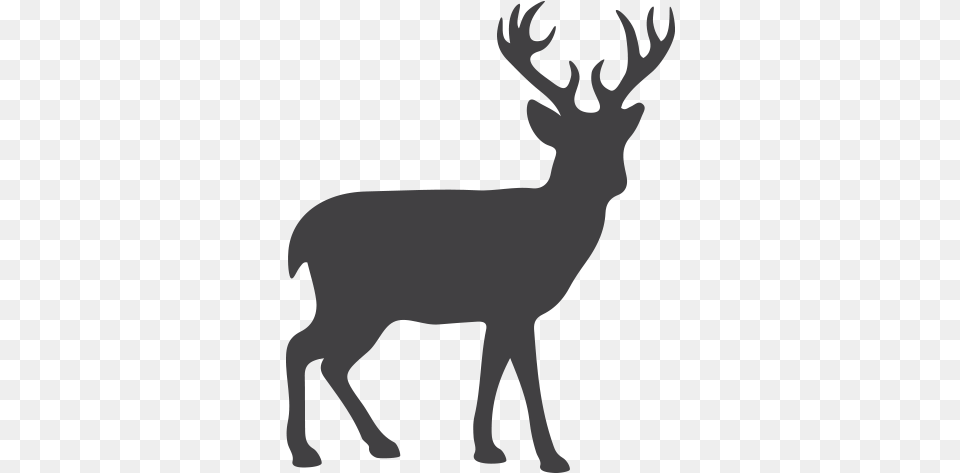 Reindeer Moose Silhouette Clip Art Dusit Zoo, Animal, Deer, Mammal, Wildlife Png