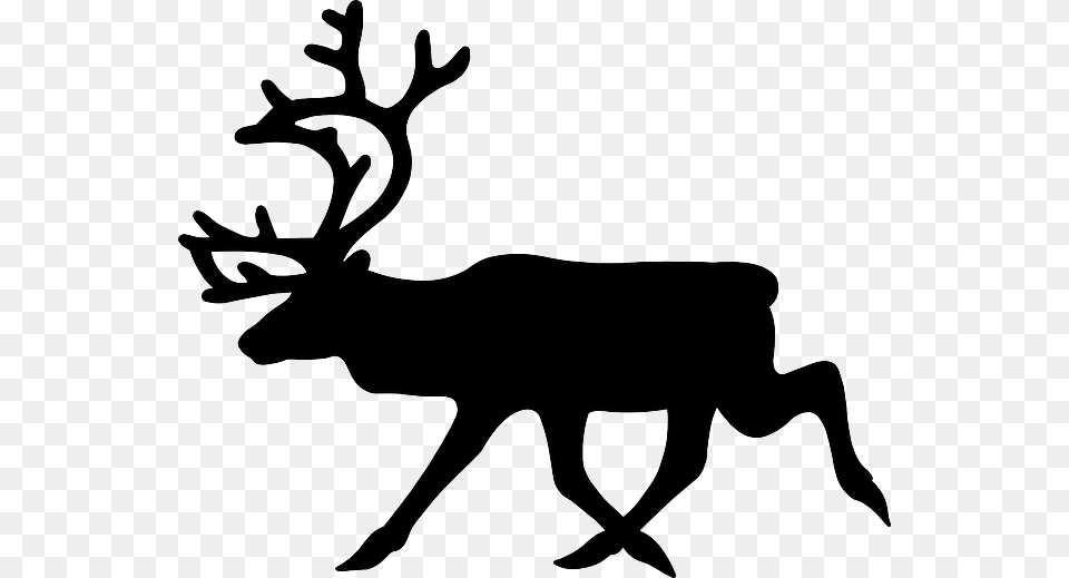 Reindeer Silhouette, Animal, Mammal, Wildlife, Deer Png Image