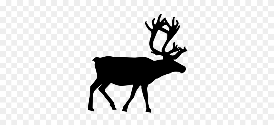 Reindeer Silhouette Clipart And Vector Graphics, Gray Free Transparent Png