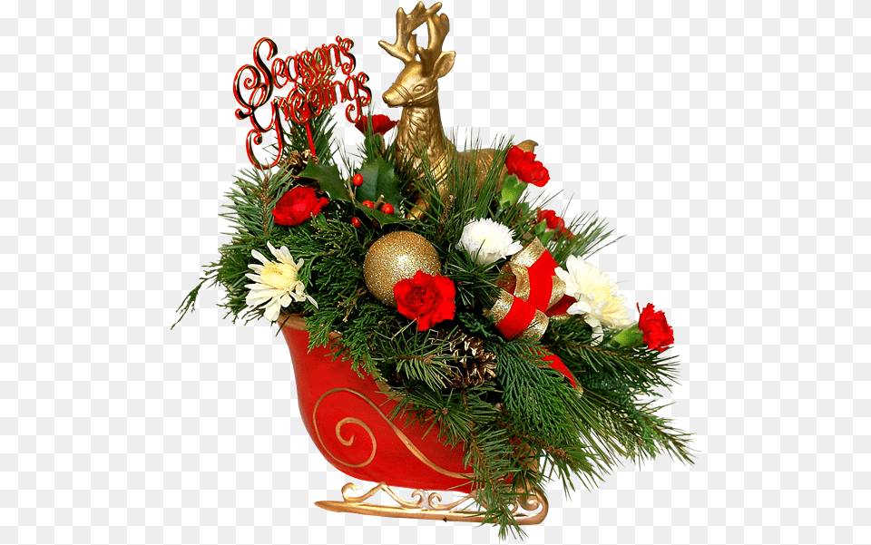 Reindeer Sleigh, Flower, Flower Arrangement, Flower Bouquet, Plant Free Transparent Png