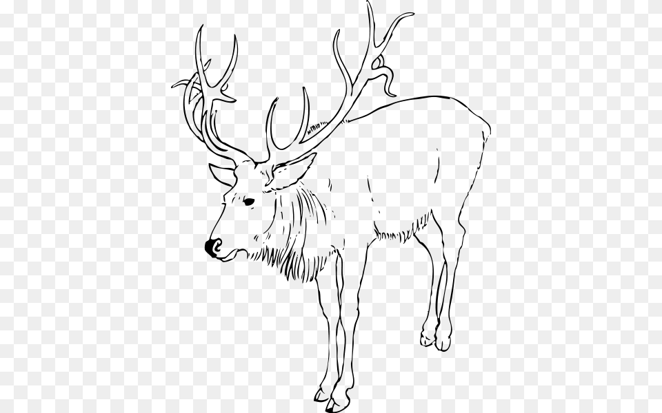 Reindeer Stag Clipart Outline Of Reindeer, Gray Png
