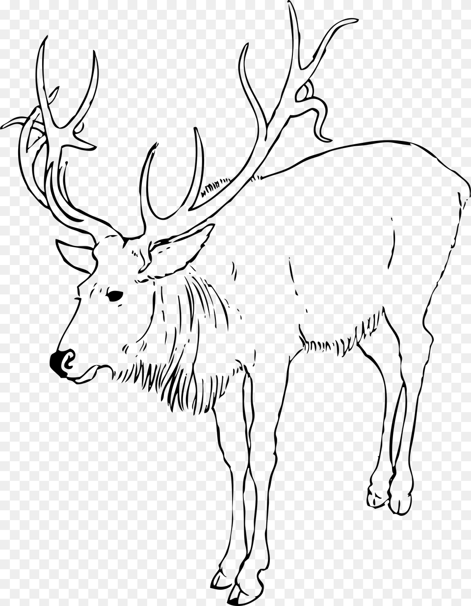 Reindeer Stag Svg Clip Arts Reindeer Clipart Black And White, Gray Free Transparent Png