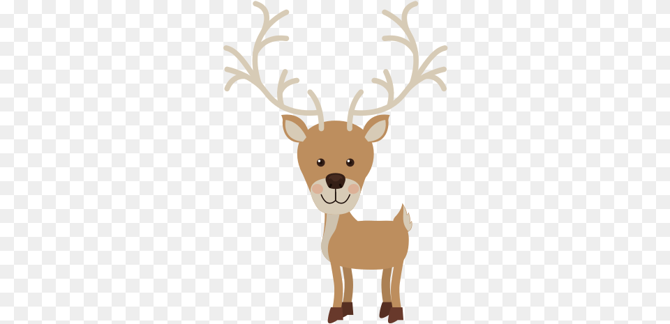 Reindeer Walk To The Vector Graphics, Animal, Mammal, Wildlife, Deer Png Image