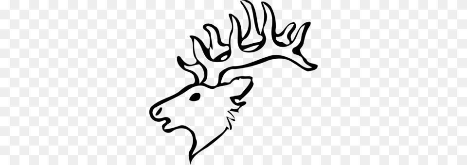 Reindeer White Tailed Deer Moose Silhouette, Gray Free Png