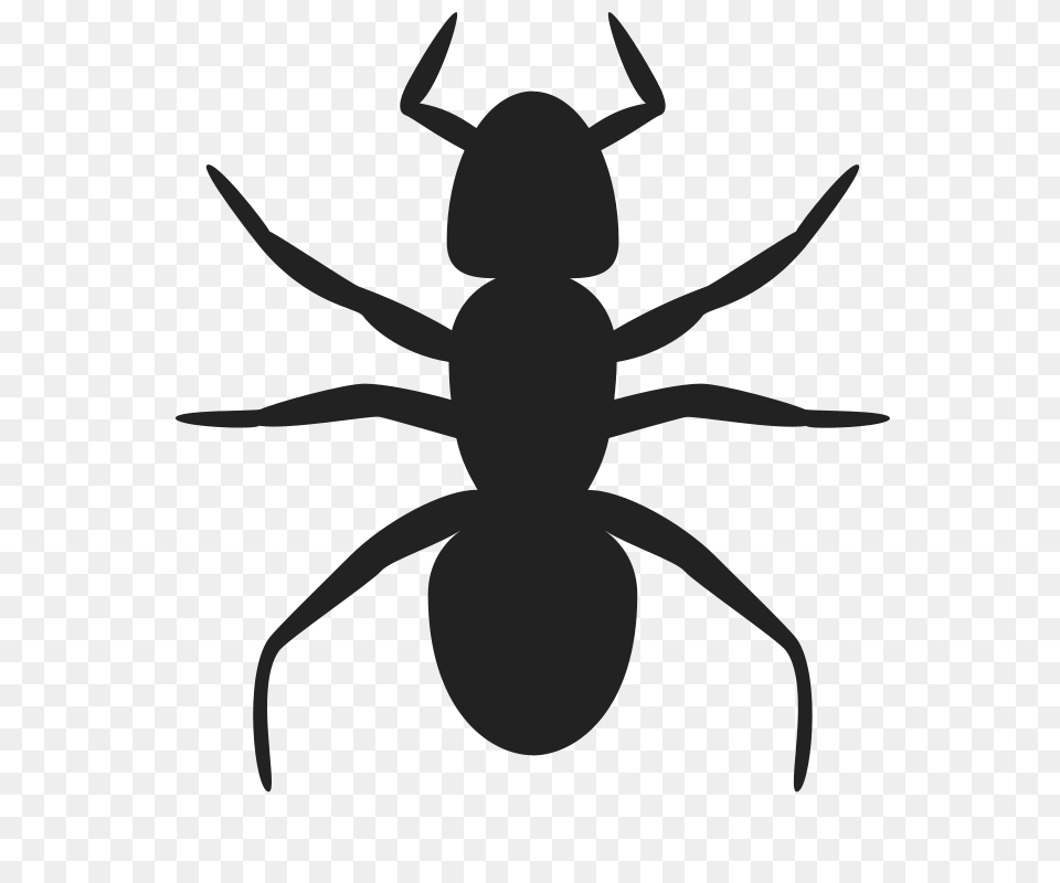Rejon Ant Icon, Animal, Insect, Invertebrate Png