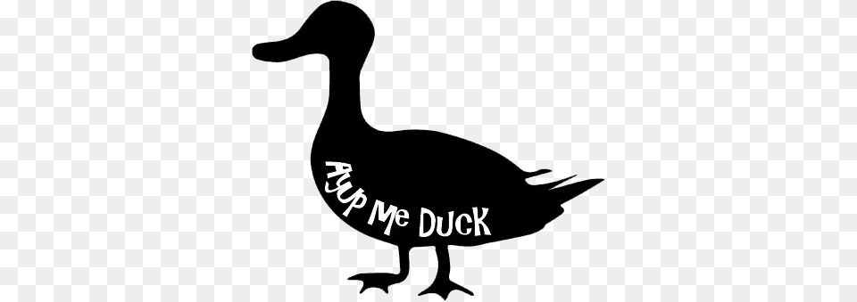 Related Ay Up Me Duck, Animal, Bird Free Png