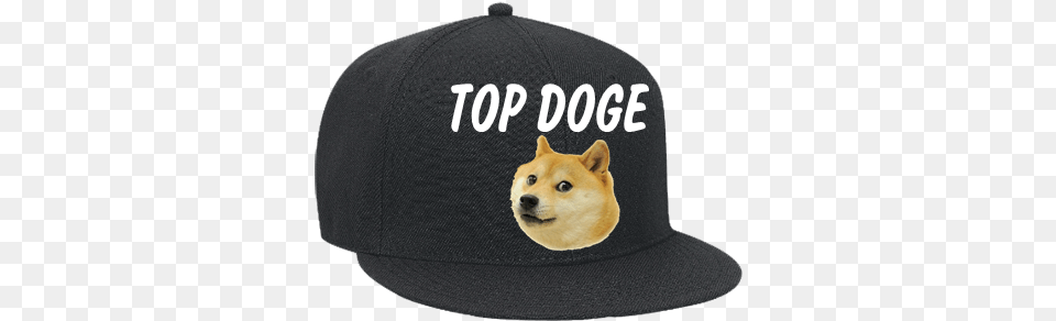 Related Doge Top Doge Hat, Baseball Cap, Cap, Clothing Png