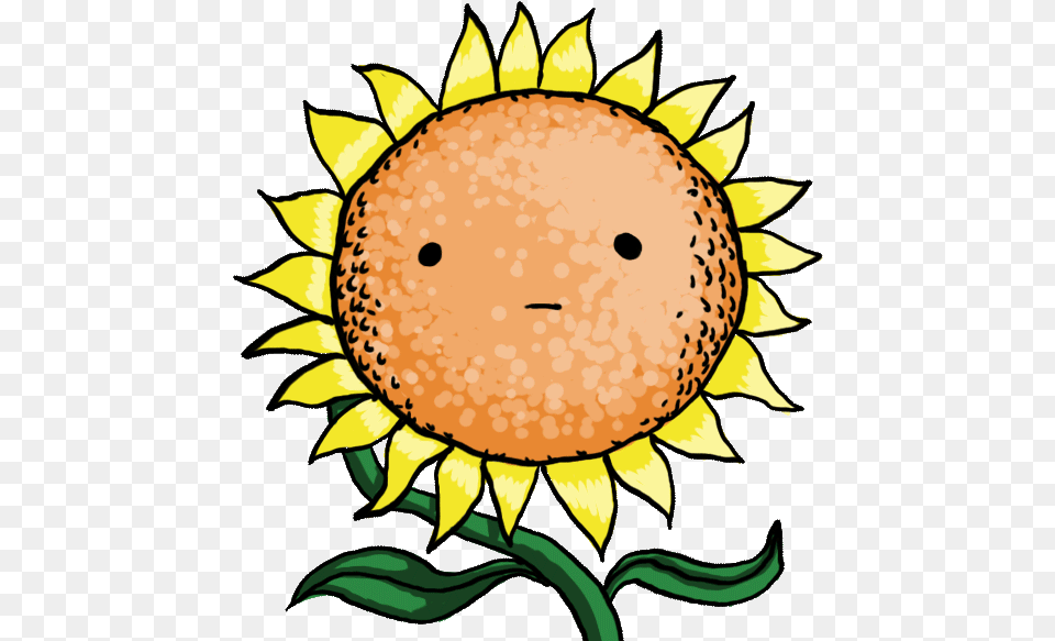 Related Image Cartoon Flower Gif Transparent Clipart Cartoon Sun Flower Gif, Plant, Sunflower, Baby, Person Free Png Download