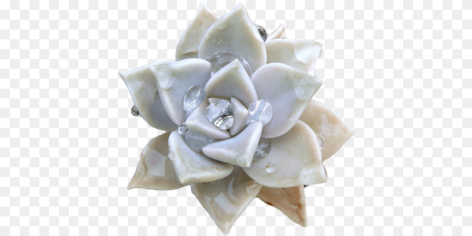 Related Image Flowers Floral Style Succulents Graptopetalum Paraguayense, Accessories, Jewelry, Diamond, Gemstone Free Transparent Png