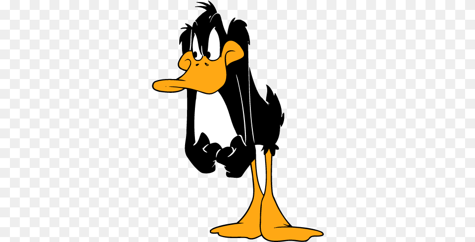 Related Pictures Daffy Duck Angry So Daffy Duck, Cartoon, Animal, Bird, Waterfowl Free Png Download