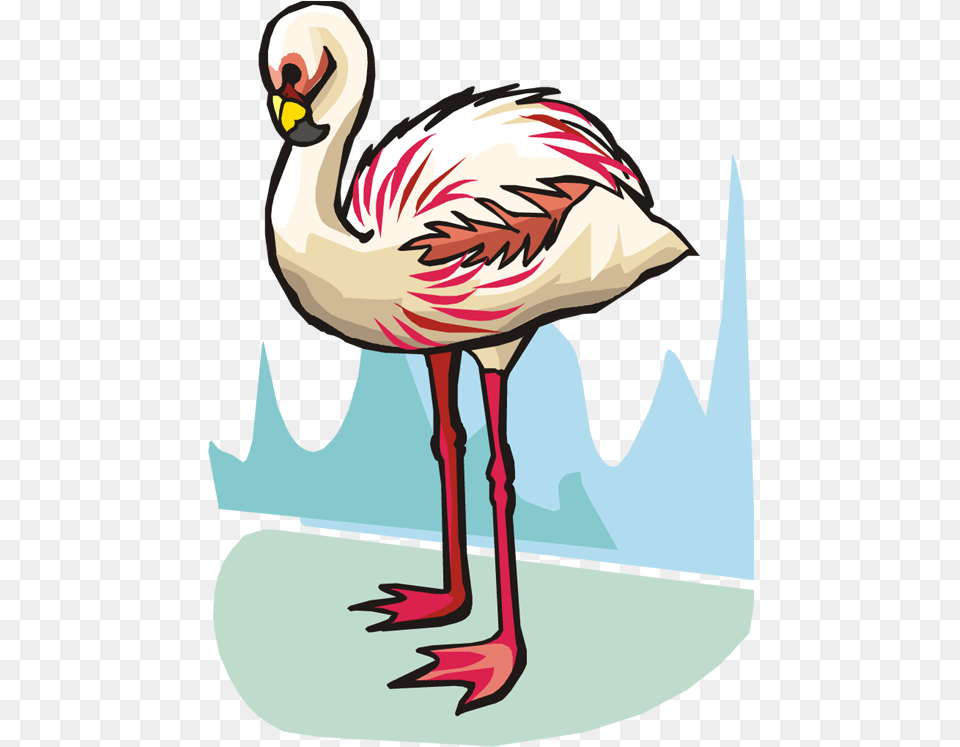 Related Pictures Funny Flamingo Bird Clipart Graphic Clip Art, Animal, Adult, Female, Person Free Transparent Png