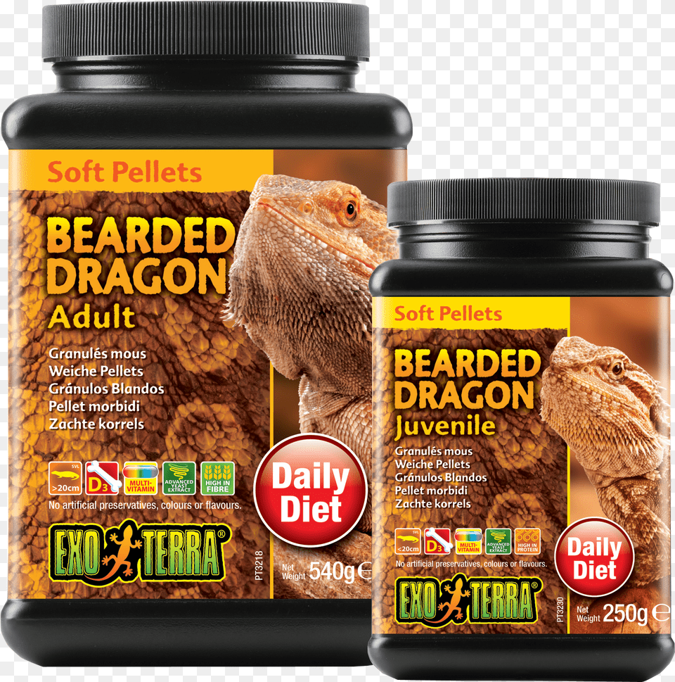 Related Products Adult Bearded Dragon Exo Terra, Jar, Animal, Lizard, Reptile Free Png