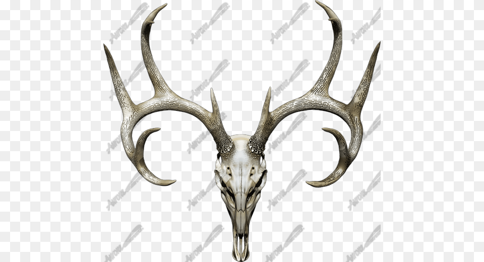 Related Products Decal, Antler, Animal, Deer, Mammal Free Png
