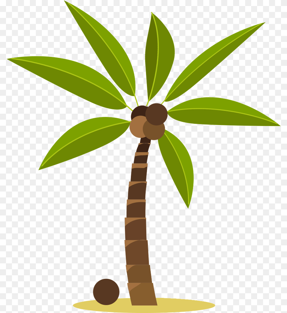 Related Transparent Coconut Tree Gif, Leaf, Palm Tree, Plant Free Png Download