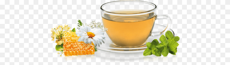 Related Wallpapers Chas Emagrecedores, Herbal, Herbs, Plant, Beverage Free Transparent Png