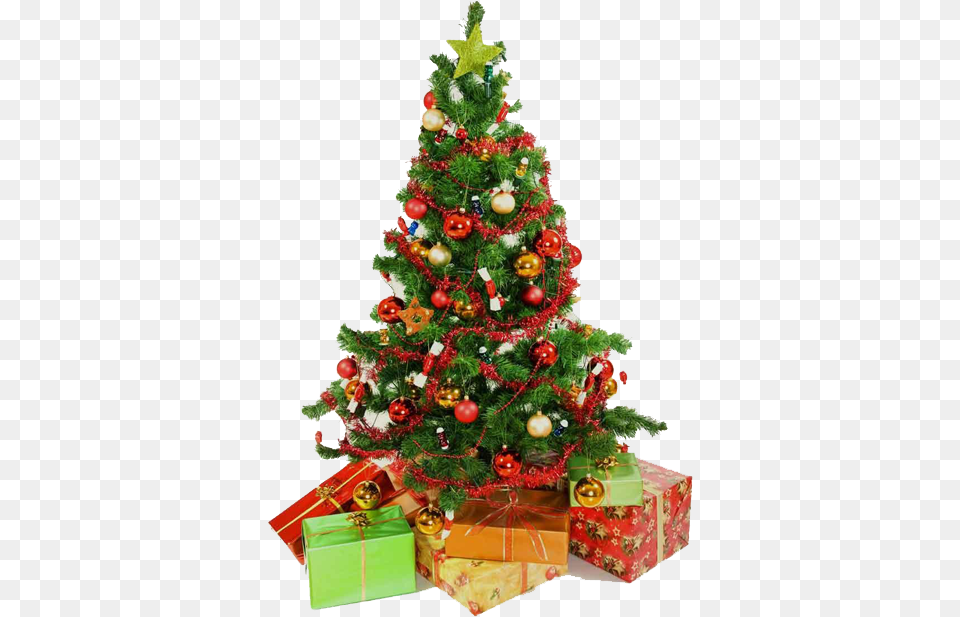 Related Wallpapers Christmas Tree Amp Presents, Plant, Christmas Decorations, Festival, Christmas Tree Png