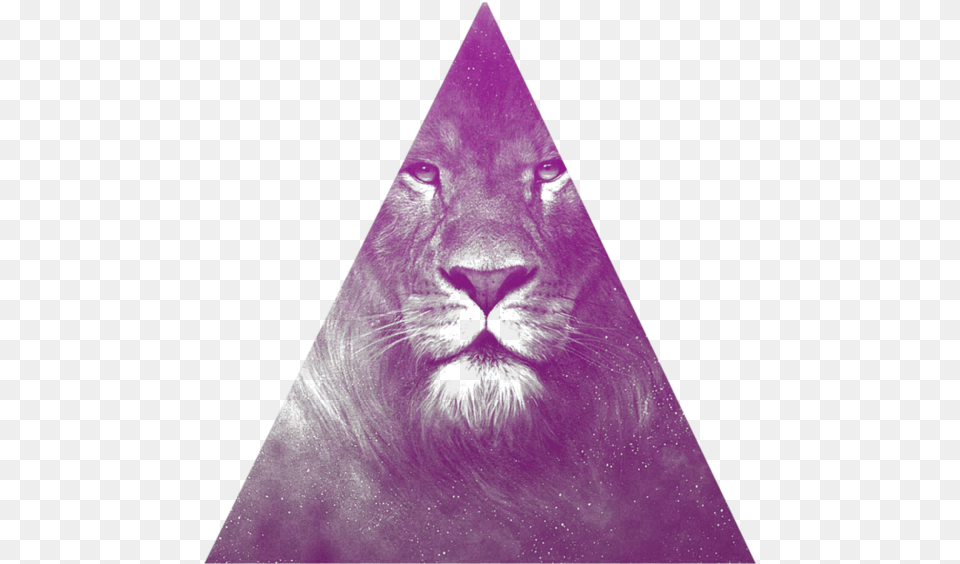 Related Wallpapers Chronicles Of Narnia The Lion The Witch And The Wardrobe, Purple, Triangle, Person, Clothing Free Png