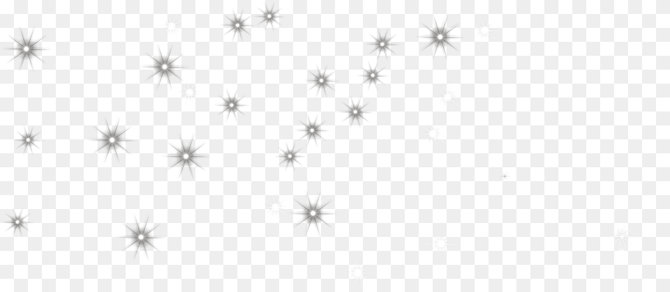 Related Wallpapers Insect, Nature, Outdoors, Snow, Snowflake Free Png Download