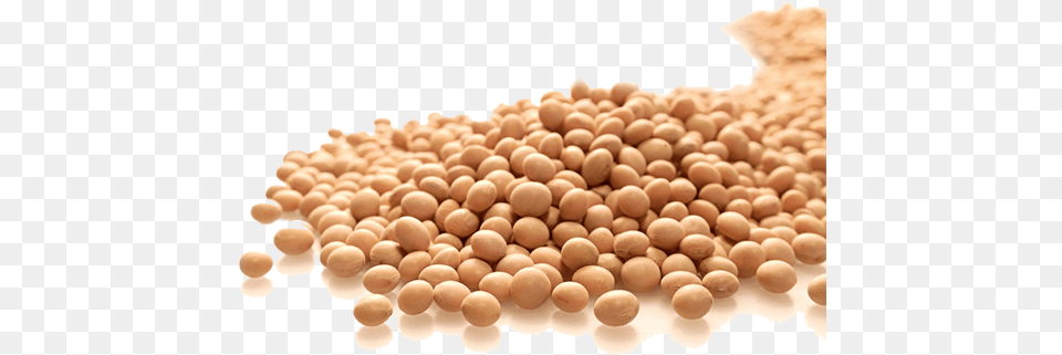 Related Wallpapers Powerpoint Templates Soybean, Bean, Food, Plant, Produce Png