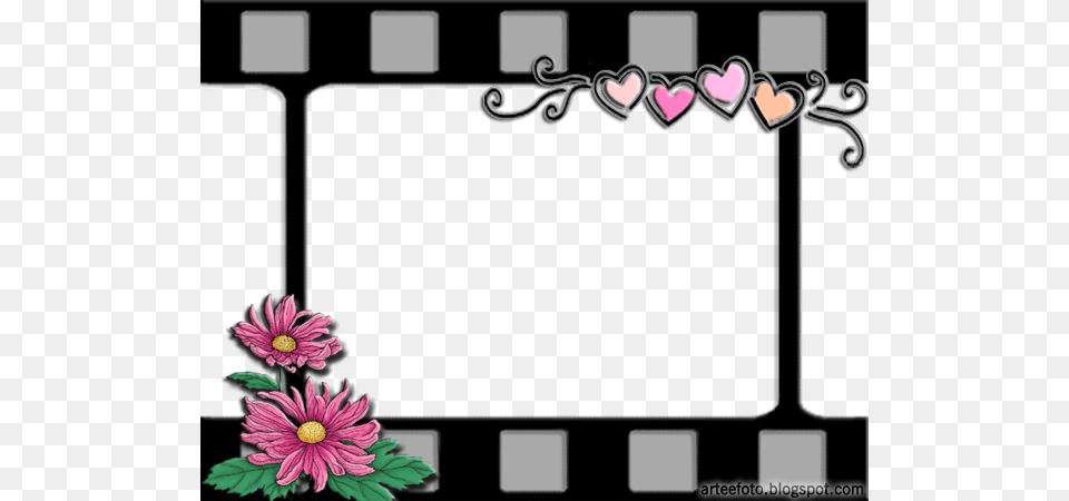 Related Wallpapers Recados Para Orkut Te Amo, Dahlia, Daisy, Plant, Flower Free Png Download