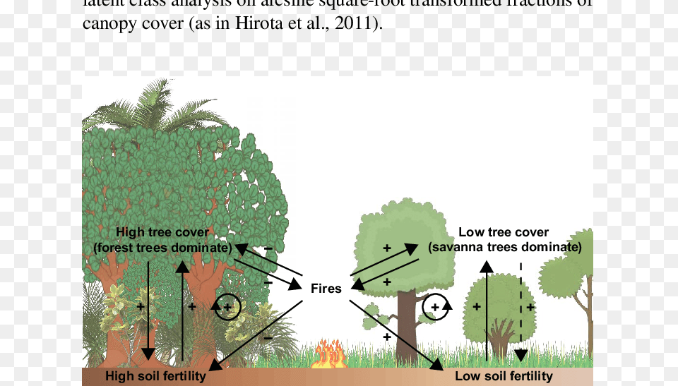 Relations Between Forest Tree Cover Savanna Tree Cover Soil Fertility In Savanna, Outdoors, Vegetation, Rainforest, Land Png Image