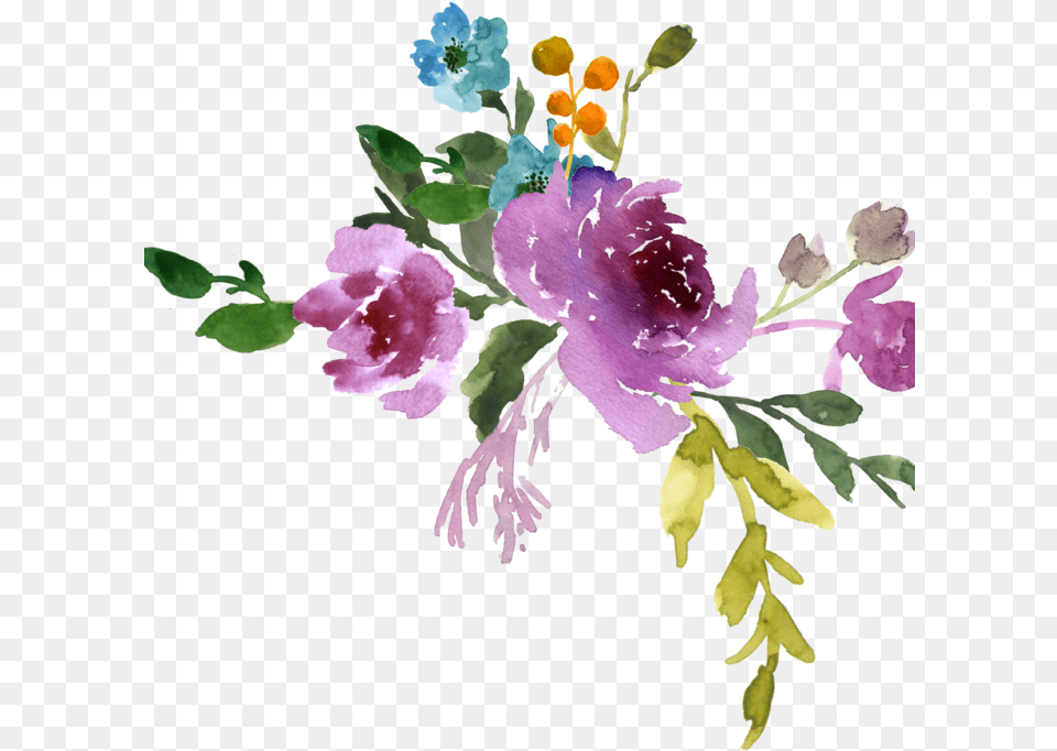 Relationship Water Color Flowers Plant, Flower, Art, Graphics Free Transparent Png
