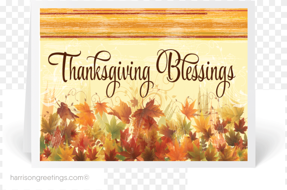 Religious Thanksgiving Pictures, Leaf, Plant, Tree, Maple Png Image