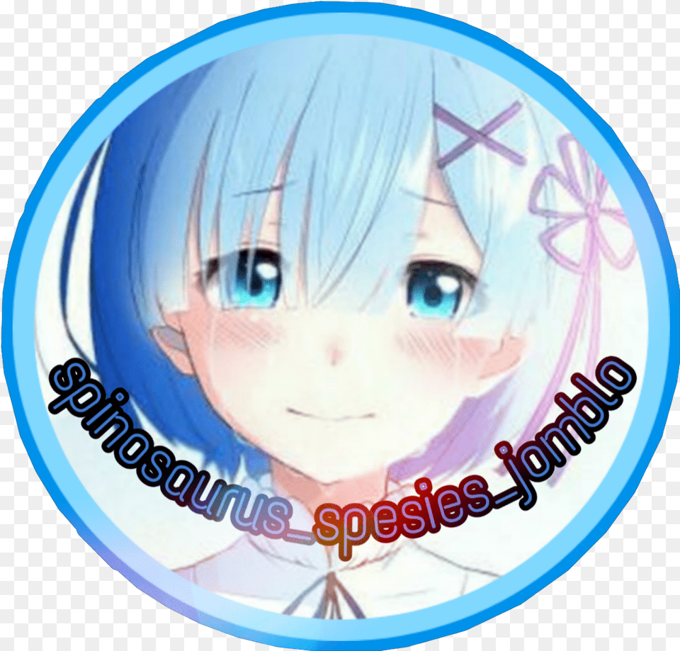 Rem Re Zero Wishing, Book, Comics, Publication, Person Free Png